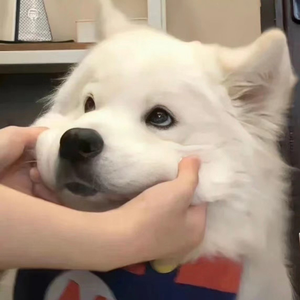 ➕光屁屁➕撞胸,17C白丝喷
