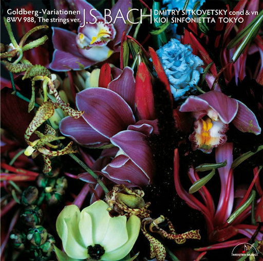 ➕光屁屁➕撞胸,17C白丝喷
